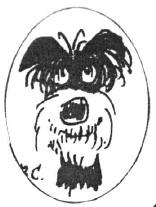Black Dog